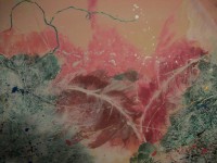 /album/galeria-de-fotos/tudo-021-jpg/